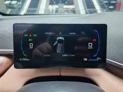 BYD Seagull Smart Drive 305km Vitality Edition - ფოტო 15