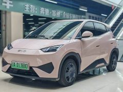 BYD Seagull Smart Drive 305km Vitality Edition - ფოტო 2