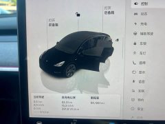 Tesla Model Y Rear-Wheel Drive - ფოტო 10