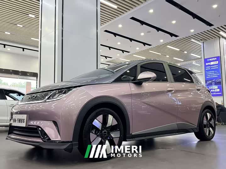 BYD Dolphin 401km Knight Edition - ავტომობილი ჩინეთიდან