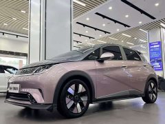 BYD Dolphin 401km Knight Edition - ფოტო 1