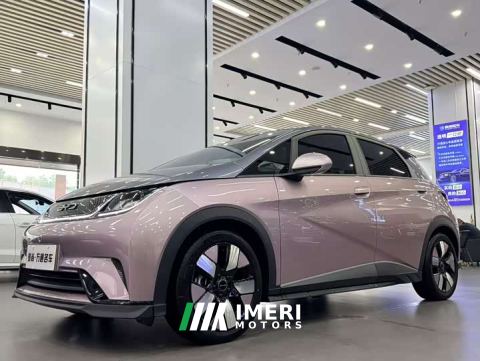 2023 BYD Dolphin 401km Knight Edition