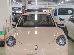 ORA Good Cat 401km Standard Range Luxury Trim Ternary Lithium Battery - ფოტო 1