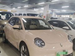 ORA Good Cat 401km Standard Range Luxury Trim Ternary Lithium Battery - ფოტო 2