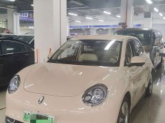 ORA Good Cat 401km Standard Range Luxury Trim Ternary Lithium Battery - ფოტო 3