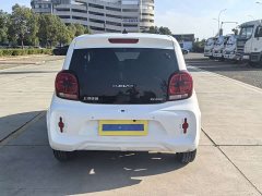 SAIC Clever 311km Vitality Pop Edition - ფოტო 11