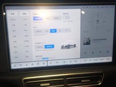 Li Auto L6 2024 Pro - ფოტო 13