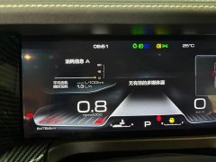 Tank 300 Off-Road Edition 2.0T Conqueror - ფოტო 7