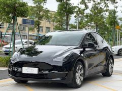 Tesla Model Y Standard Range RWD - ფოტო 1