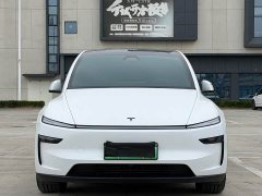 Tesla Model Y L Long Range All-Wheel Drive - ფოტო 2