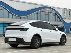Tesla Model Y L Long Range All-Wheel Drive - ფოტო 6