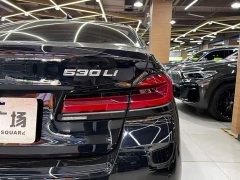 BMW 5 Series Facelift 530Li Premier M Sport Package - ფოტო 10