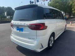 Maxus G20 ES 2.0T Gasoline Automatic Value Edition - ფოტო 5