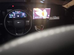 Haval Manlong New Energy 2023 Hi4 145 Explorer Edition - ფოტო 12