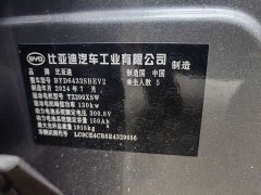BYD Yuan UP 401KM Exceed - ფოტო 12
