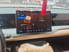 BYD Song Pro New Energy 2025 2nd Gen DM-i 75KM Excellence Edition - ფოტო 12
