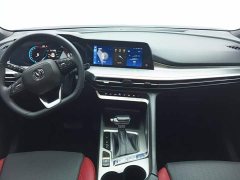 Changan CS35 PLUS Blue Whale NE 1.4T DCT Luxury - ფოტო 12