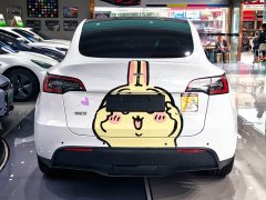 Tesla Model Y Rear-Wheel Drive - ფოტო 10