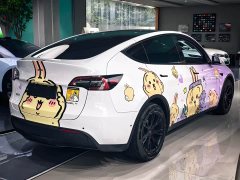 Tesla Model Y Rear-Wheel Drive - ფოტო 11
