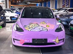 Tesla Model Y Rear-Wheel Drive - ფოტო 2