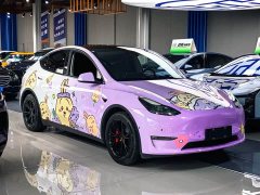 Tesla Model Y Rear-Wheel Drive - ფოტო 3