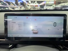 Wuling Starlight 70km Smart Standard Edition - ფოტო 10