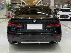 BMW 5 Series 530Li Premier M Sport Package - ფოტო 6
