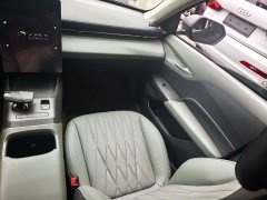 Changan Yida Blue Whale NE 1.5T GDI DCT Luxury - ფოტო 10