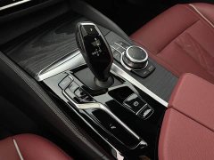 BMW 5 Series Facelift 530Li Premier M Sport Package - ფოტო 16