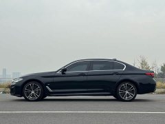 BMW 5 Series Facelift 530Li Premier M Sport Package - ფოტო 7