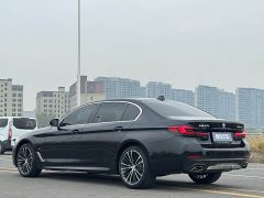 BMW 5 Series Facelift 530Li Premier M Sport Package - ფოტო 8