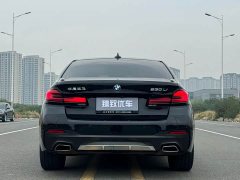 BMW 5 Series Facelift 530Li Premier M Sport Package - ფოტო 9