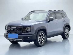 Great Wall Dachshund 2026 1.5T DCT Border Collie Edition - ფოტო 1