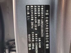 Great Wall Dachshund 2026 1.5T DCT Border Collie Edition - ფოტო 19