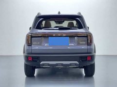 Great Wall Dachshund 2026 1.5T DCT Border Collie Edition - ფოტო 5