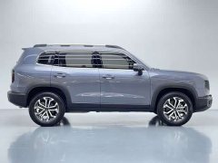 Great Wall Dachshund 2026 1.5T DCT Border Collie Edition - ფოტო 9