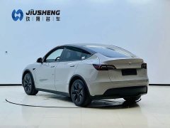 Tesla Model Y 2023 Rear-Wheel Drive - ფოტო 4