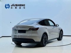 Tesla Model Y 2023 Rear-Wheel Drive - ფოტო 6