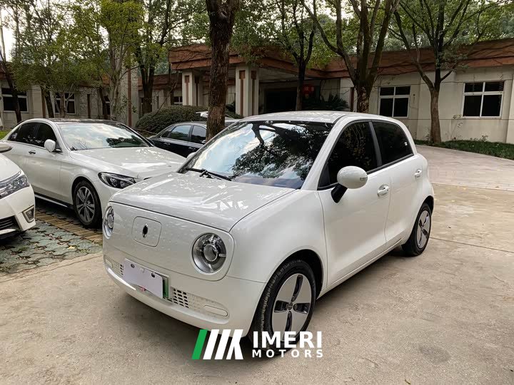 ORA Black Cat 2021 301km Base - ავტომობილი ჩინეთიდან