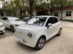 ORA Black Cat 2021 301km Base - ფოტო 1