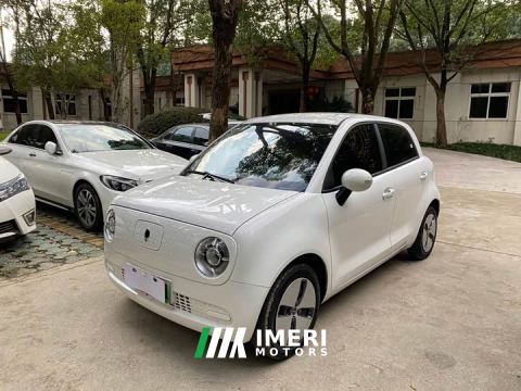 2022 ORA Black Cat 301km Base - car from China