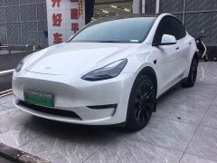 Tesla Model Y Long Range All-Wheel Drive - ფოტო 1
