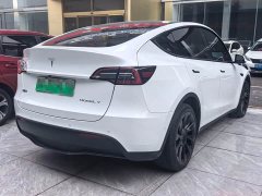 Tesla Model Y Long Range All-Wheel Drive - ფოტო 2