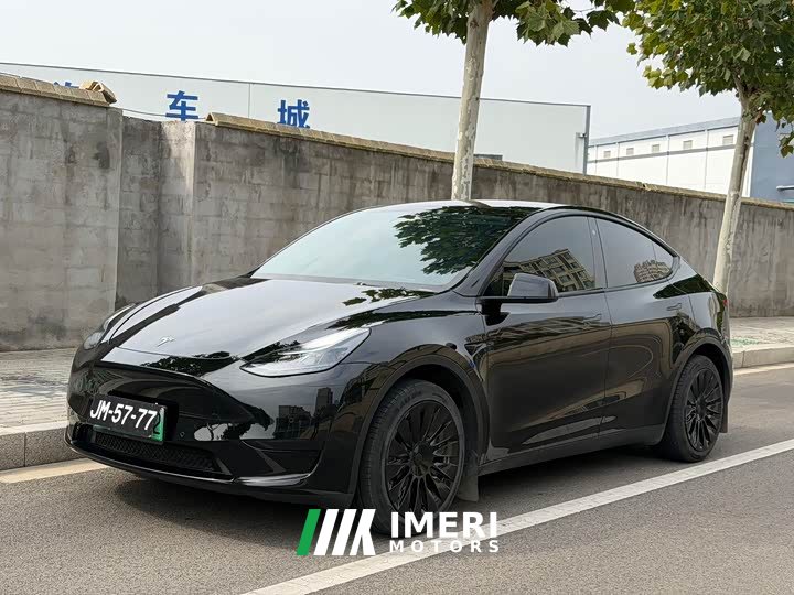 Tesla Model Y Rear-Wheel Drive