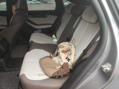 BYD Qin PLUS Glory Edition DM-i 55KM Leading - ფოტო 13