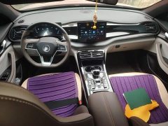 BYD Qin PLUS Glory Edition DM-i 55KM Leading - ფოტო 5