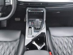 Wuling Xingchen 2.0L DHT Electric Speed Edition - ფოტო 16