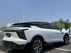 HiPhi X Flagship 6-Seater - ფოტო 4