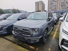 Great Wall Dachshund 2.0T DCT Four-Wheel Drive Howling Celestial Dog Edition - ფოტო 1