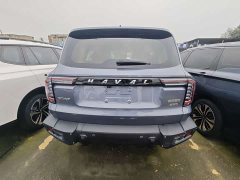Great Wall Dachshund 2.0T DCT Four-Wheel Drive Howling Celestial Dog Edition - ფოტო 15